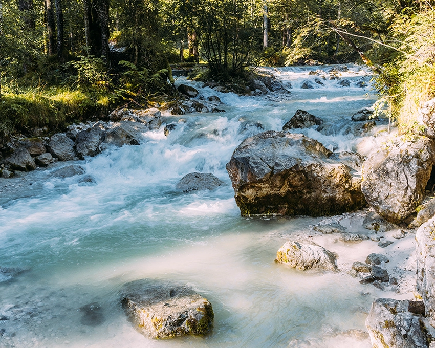 Wildes Gebirgswasser im Wald am sonnigen Tag