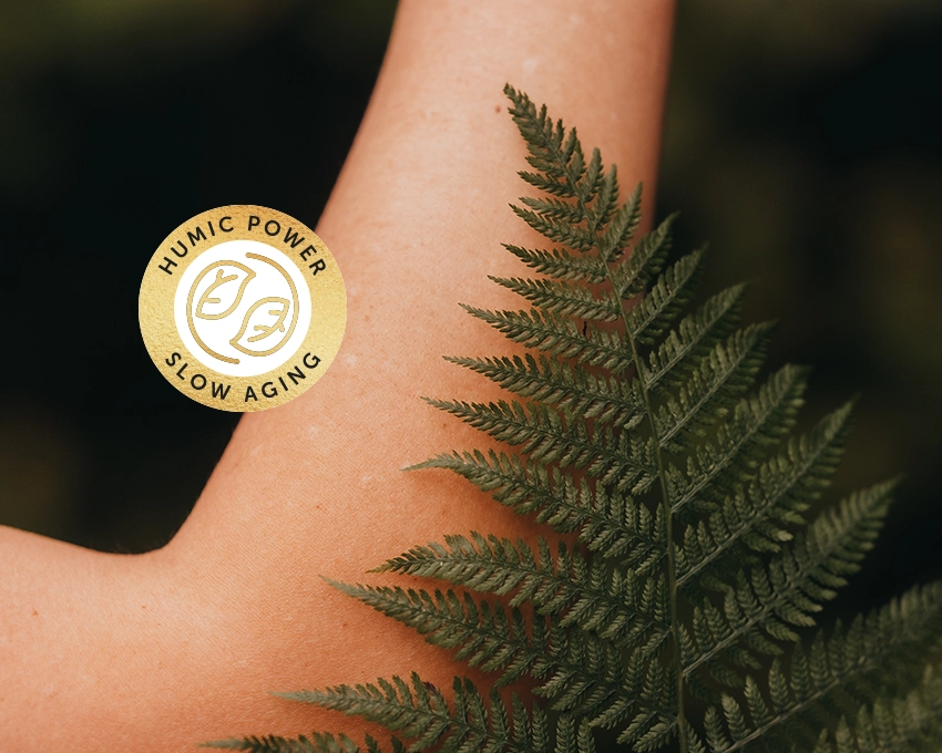 Fern leaf on a female smooth forearm