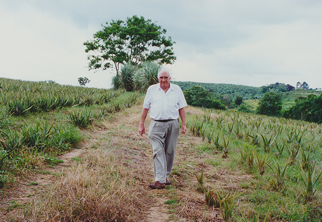 Brazil Plantation